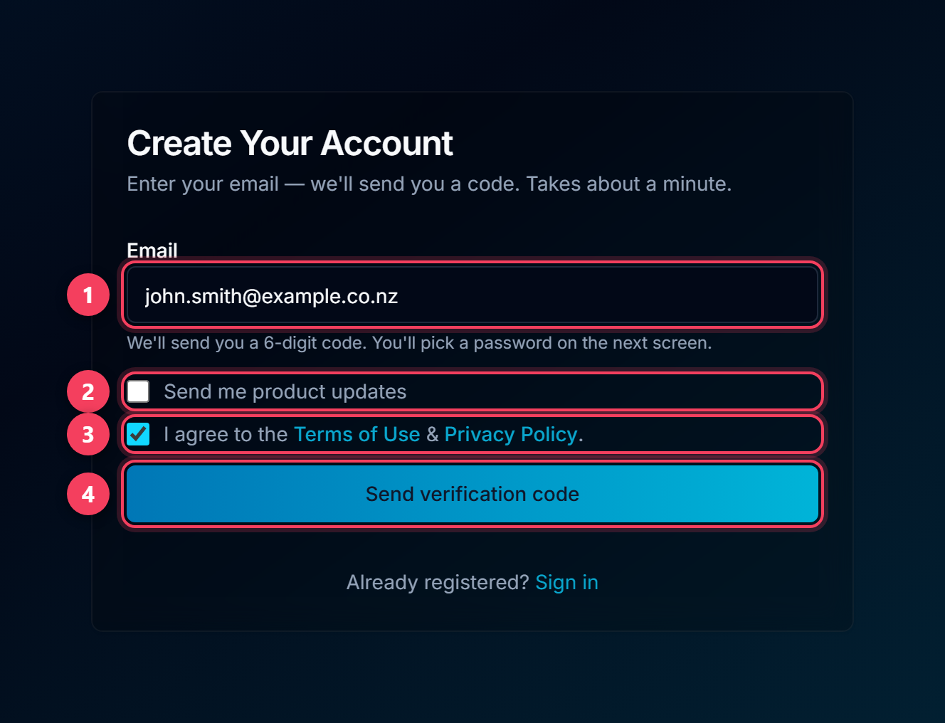 Sign-up form in full: an email field, an optional updates tick box and the terms tick box